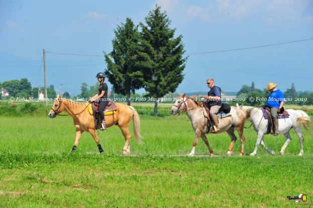 DSC_7531.JPG